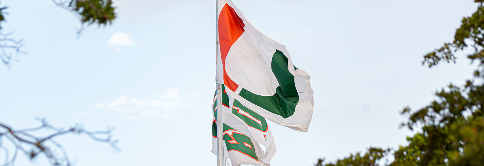 University of Miami flags on flag pole